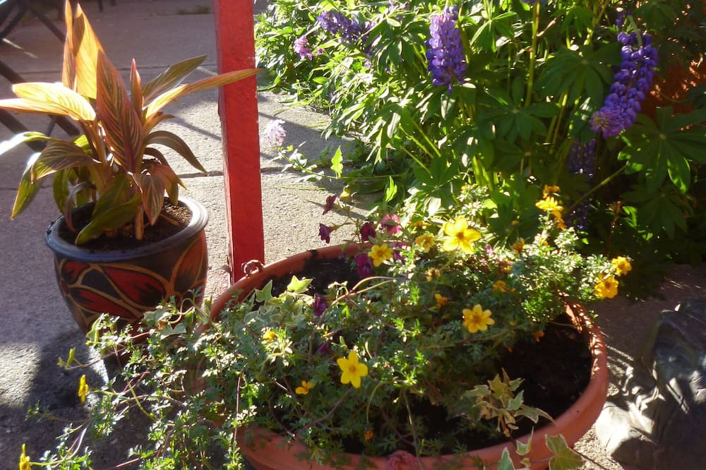 Photo of Outdoor in Saint-Fabien