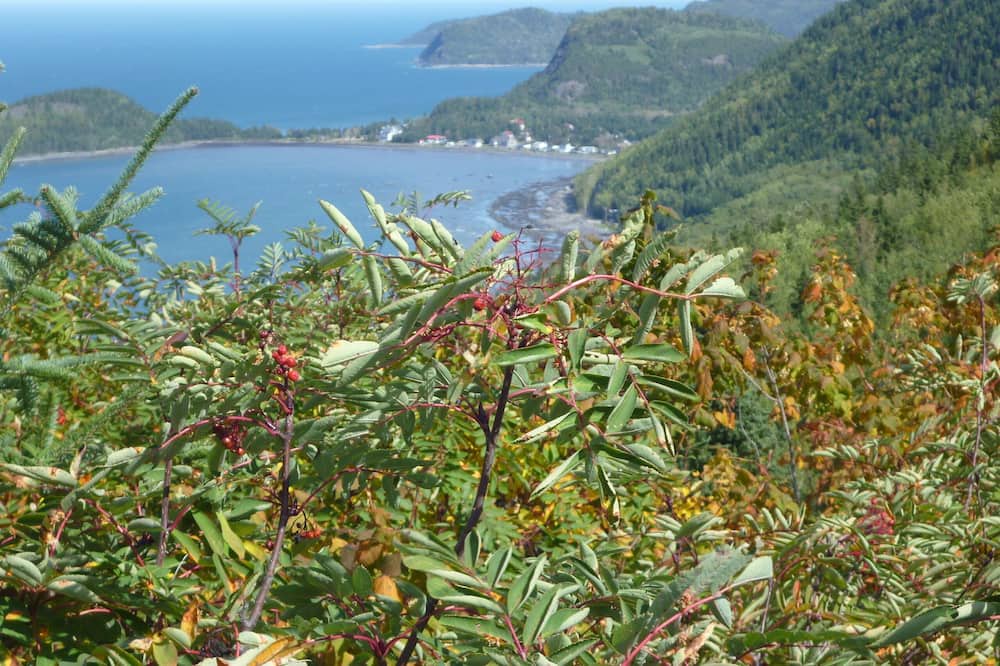 Photo of Outdoor in Saint-Fabien