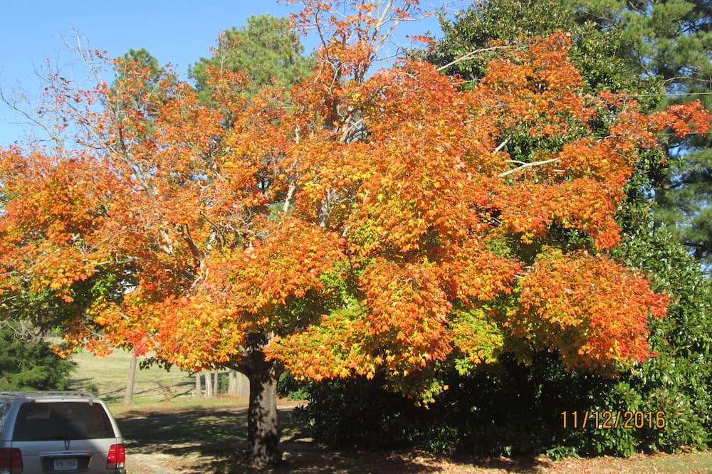 Photo of Outdoor in Davis Wharf
