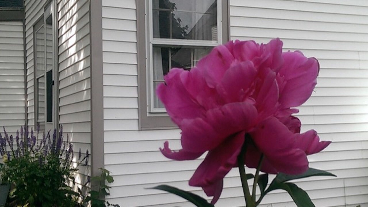 Photo of Outdoor in Rockland