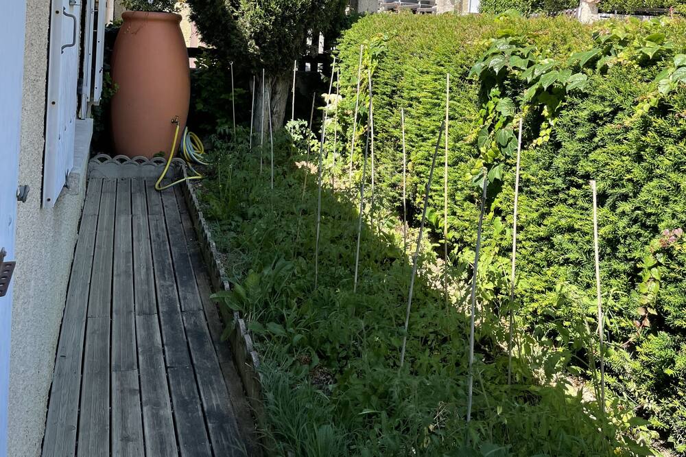 Photo of Outdoor in Crest