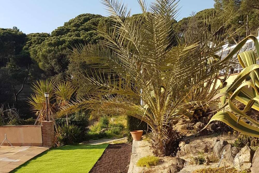 Photo of Outdoor in Macanet de la Selva