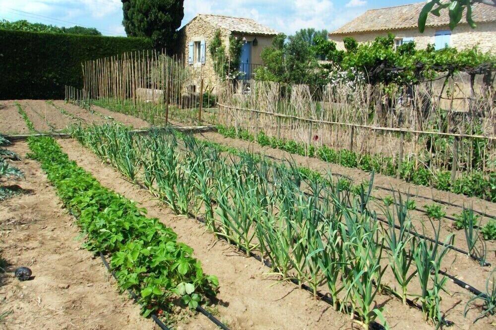 Photo of Outdoor in Bagnols-sur-Ceze