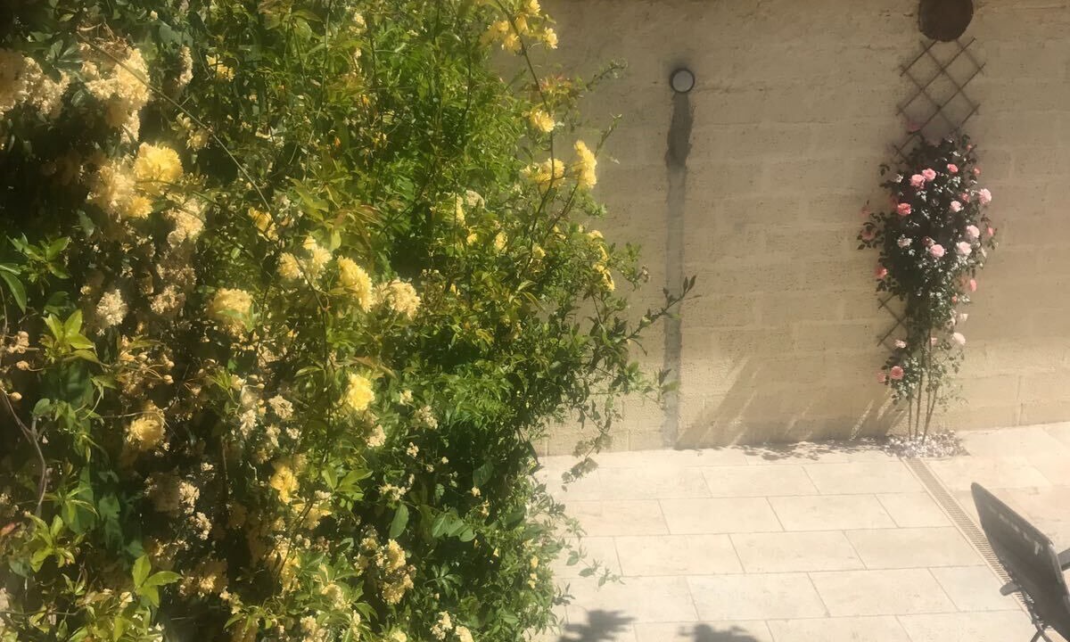 Photo of Outdoor in Alignan-du-Vent