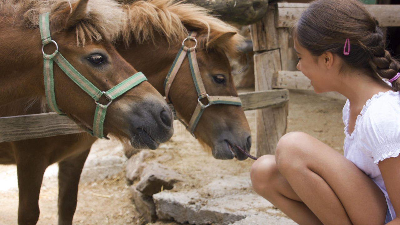 Photo of Others in Prades