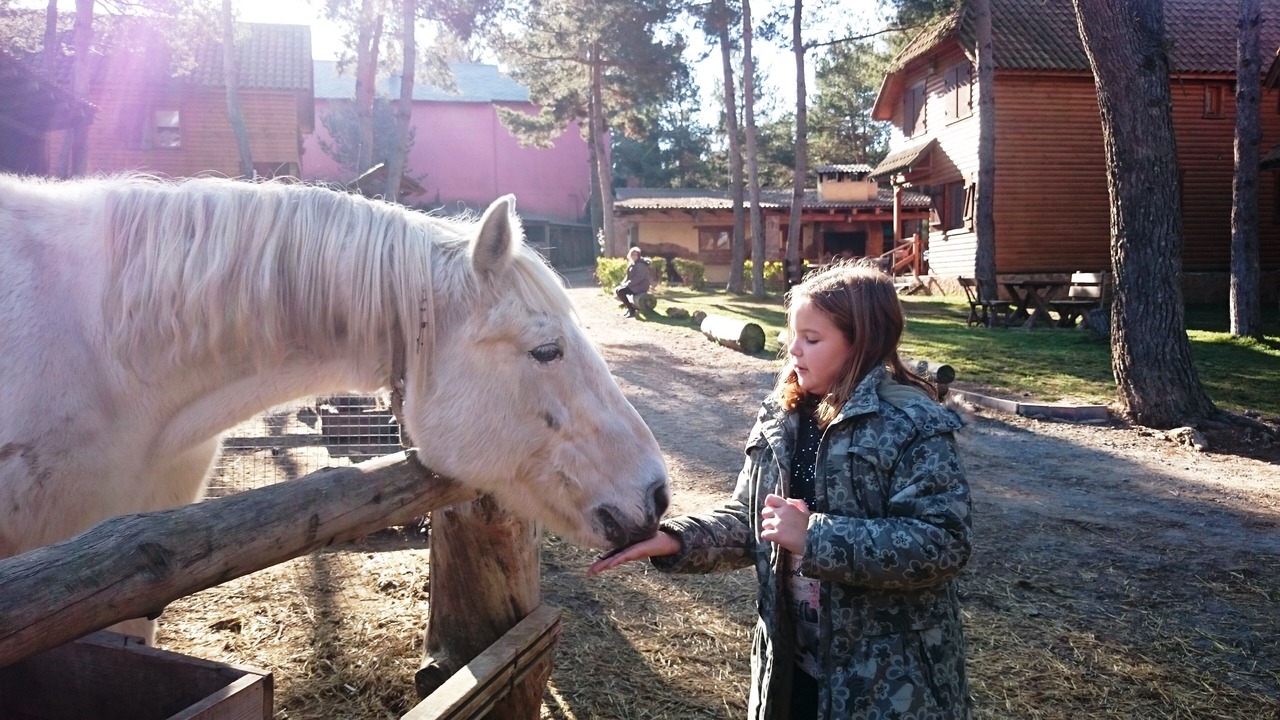 Photo of Outdoor in Prades