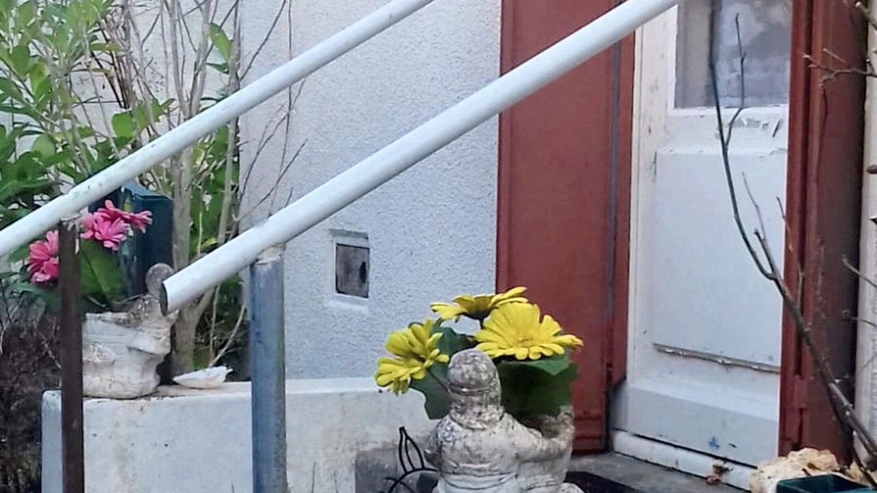 Photo of Outdoor in La Croix-en-Touraine