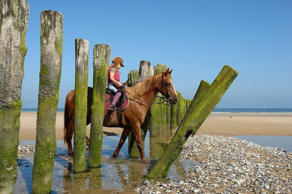Photo of Others in Bleriot-Plage
