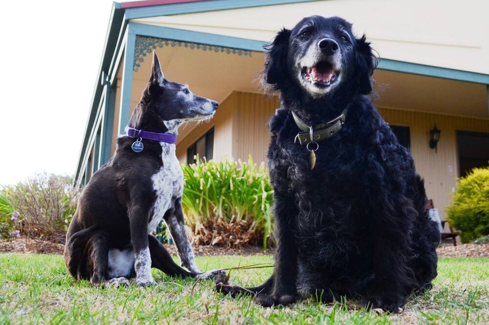 Photo of Others in Glenlyon