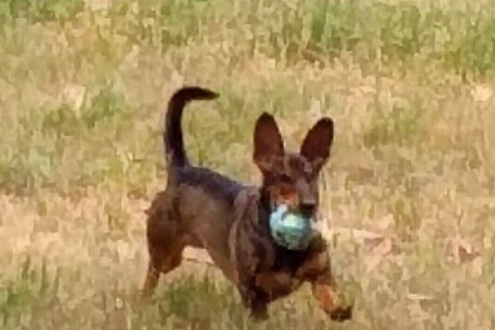 Photo of Others in Glenlyon