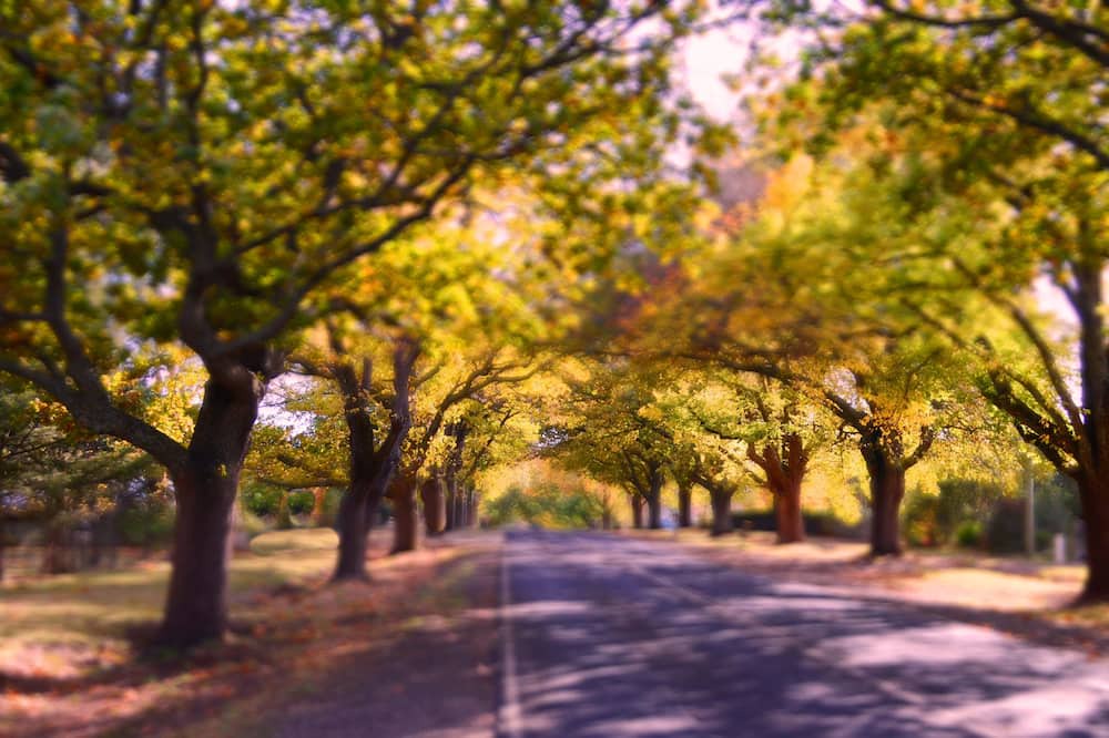 Photo of Outdoor in Glenlyon