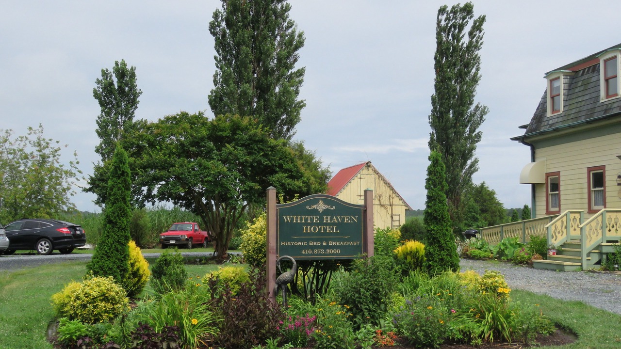 Photo of Outdoor in Whitehaven