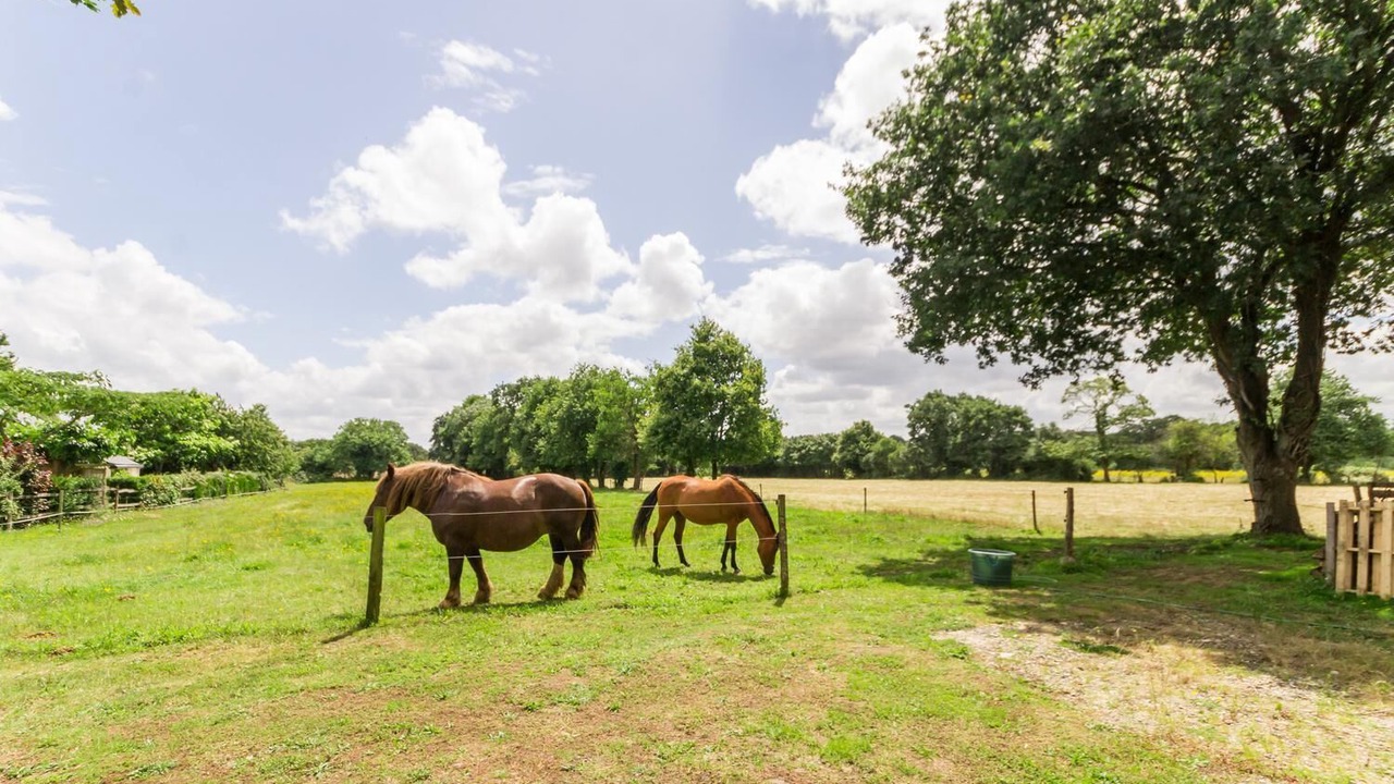 Photo of Outdoor in Nort-sur-Erdre