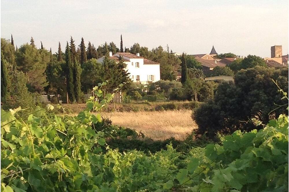 Photo of Others in Oupia