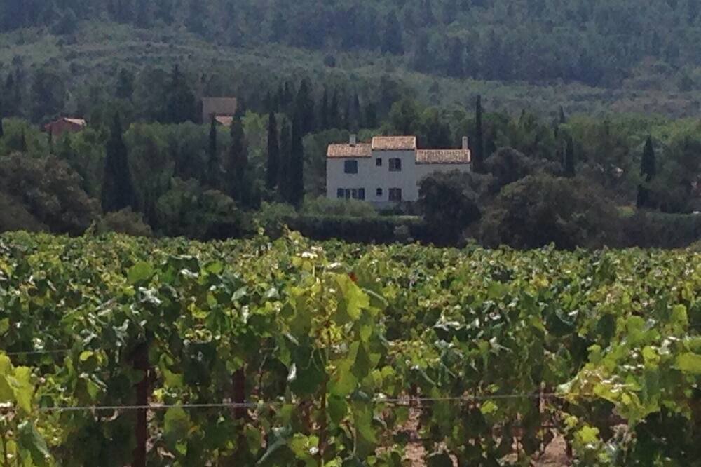 Photo of Others in Oupia