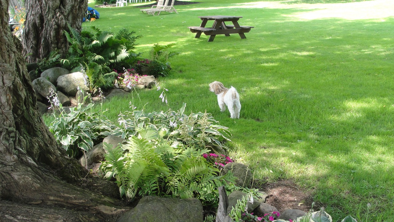 Photo of Outdoor in Mayville