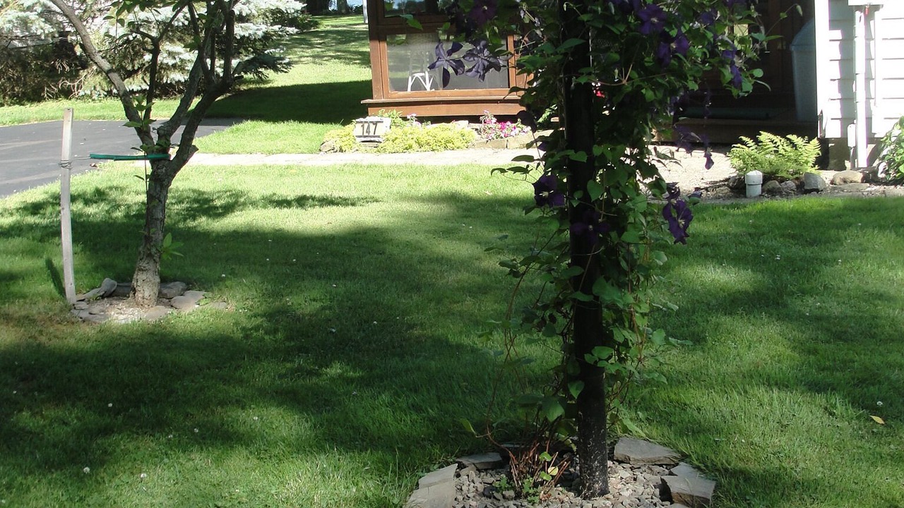 Photo of Outdoor in Mayville