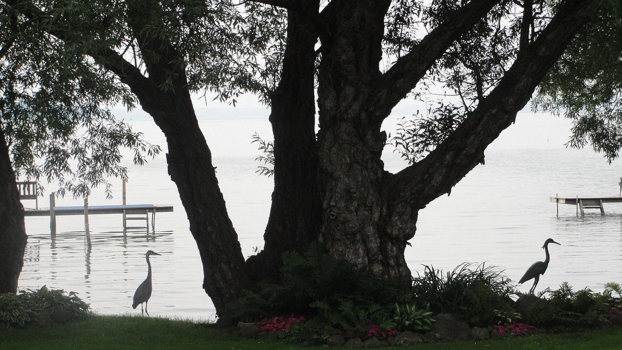 Photo of Outdoor in Mayville