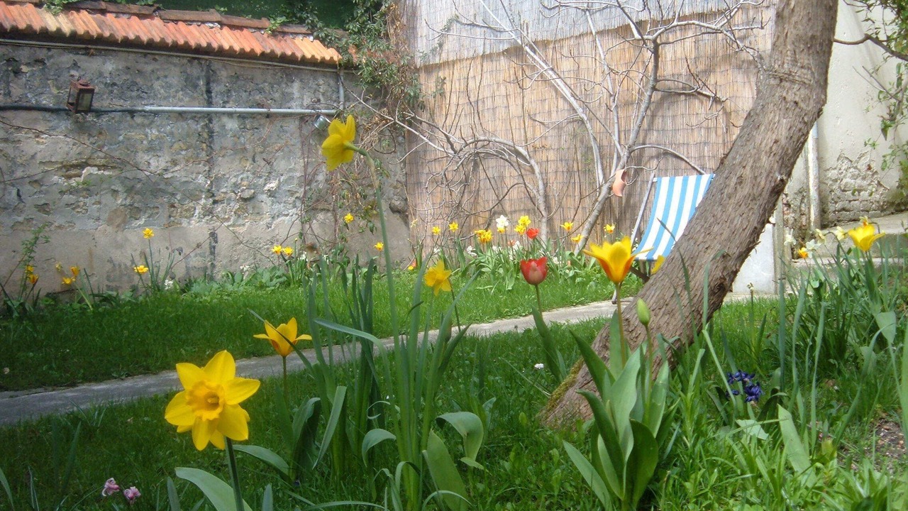 Photo of Outdoor in Malakoff