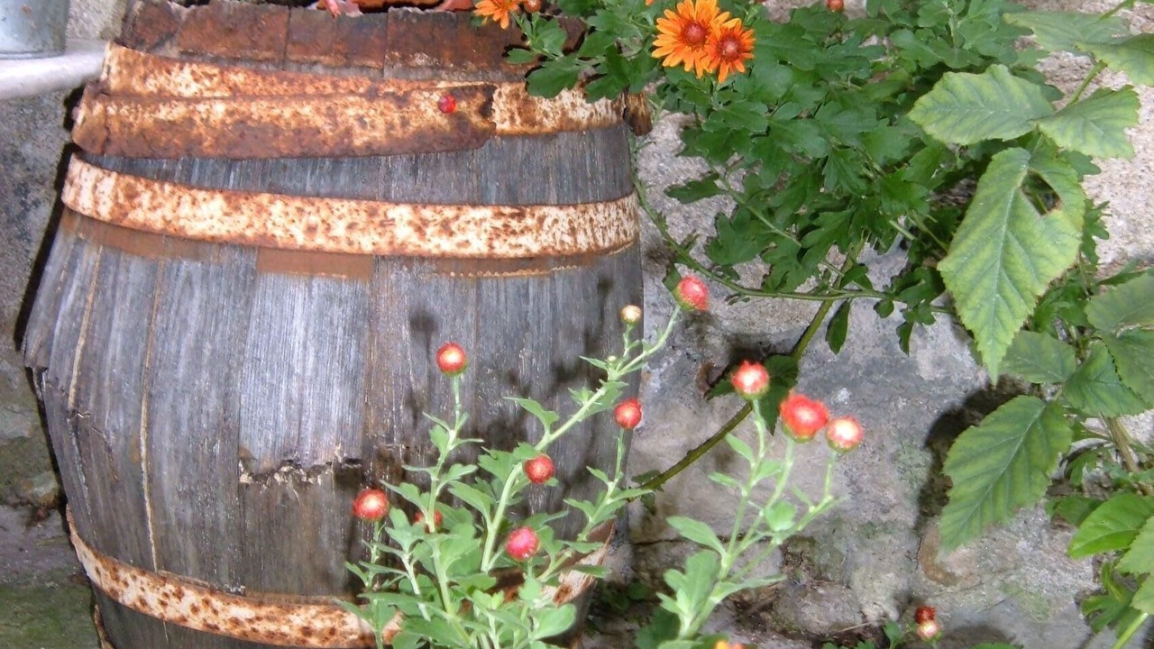 Photo of Outdoor in Malakoff