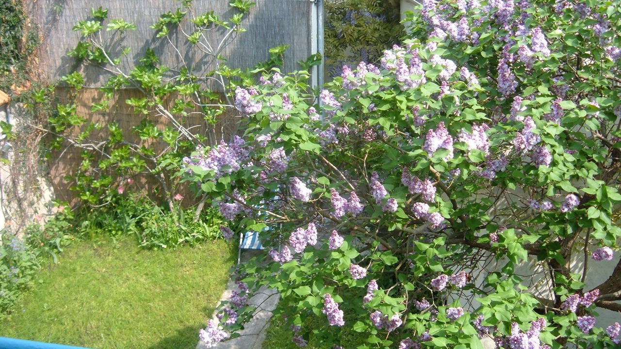 Photo of Outdoor in Malakoff
