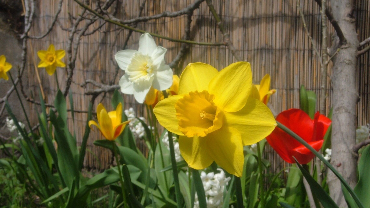 Photo of Outdoor in Malakoff
