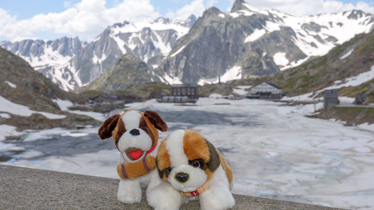 Photo of Outdoor in Bourg-Saint-Pierre
