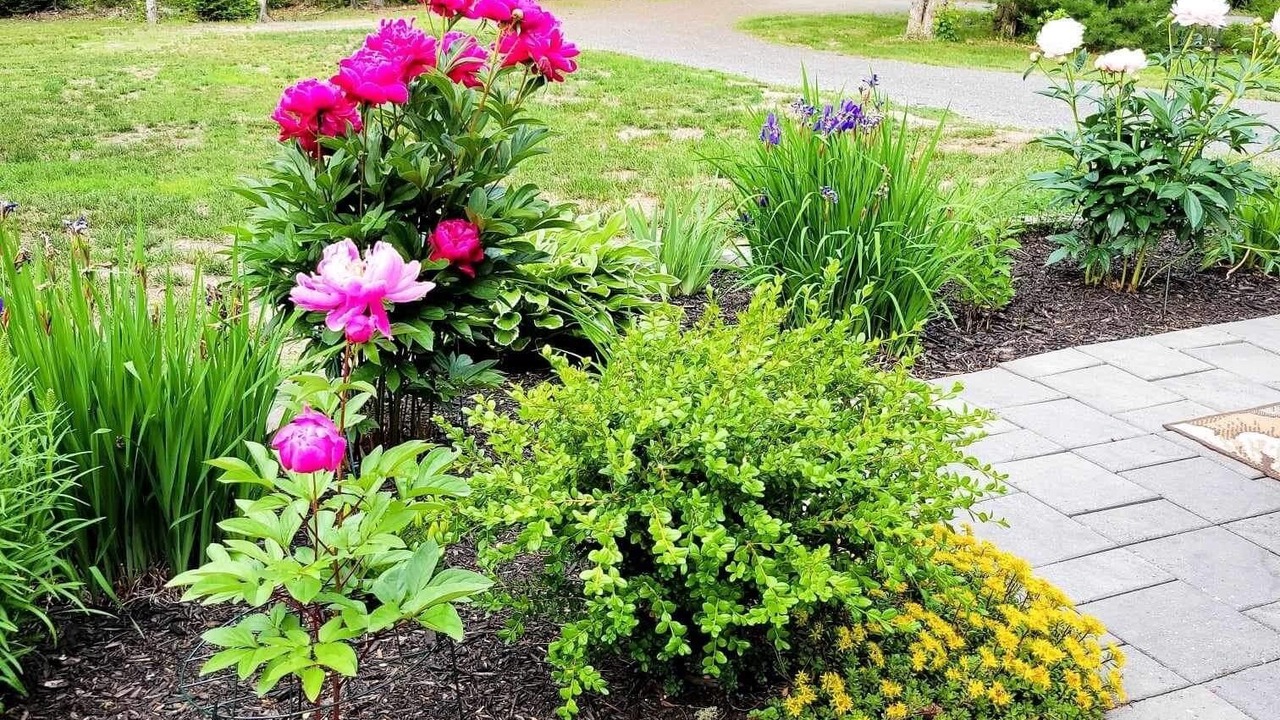 Photo of Outdoor in Lamoine