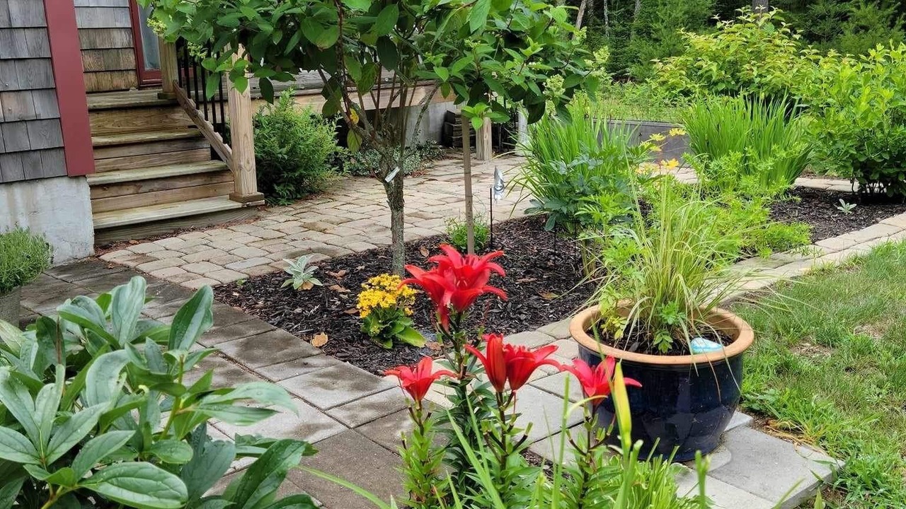 Photo of Outdoor in Lamoine