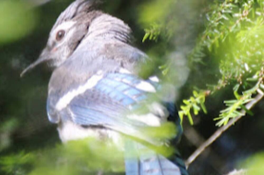 Photo of Others in Harrington