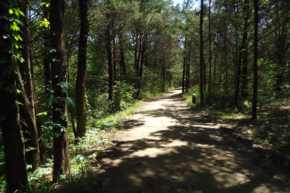 Photo of Outdoor in Cumby
