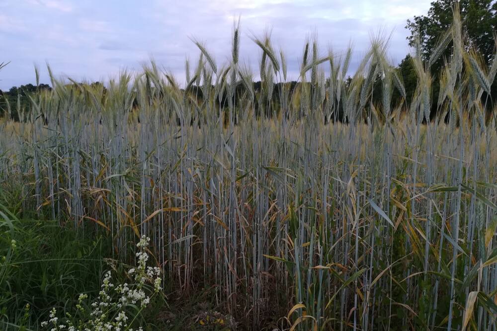 Photo of Outdoor in Prayssas