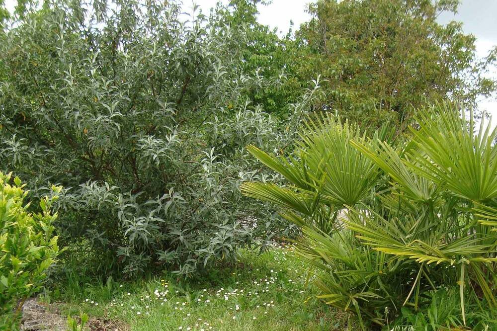 Photo of Outdoor in Prayssas