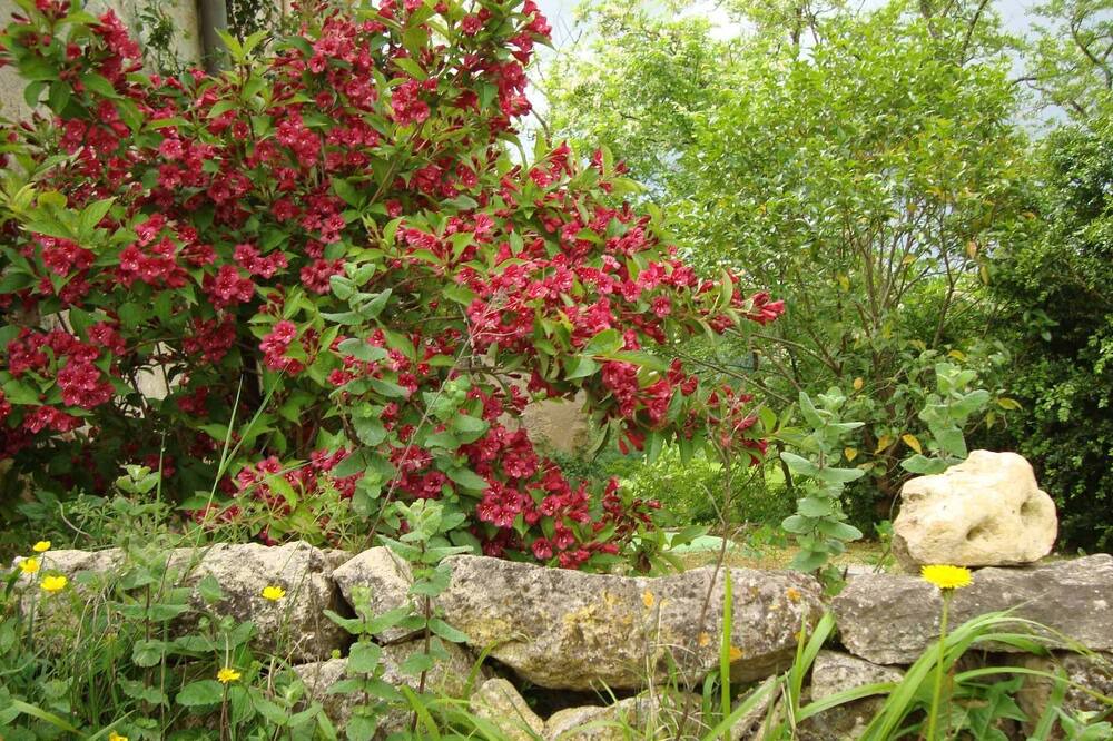 Photo of Outdoor in Prayssas