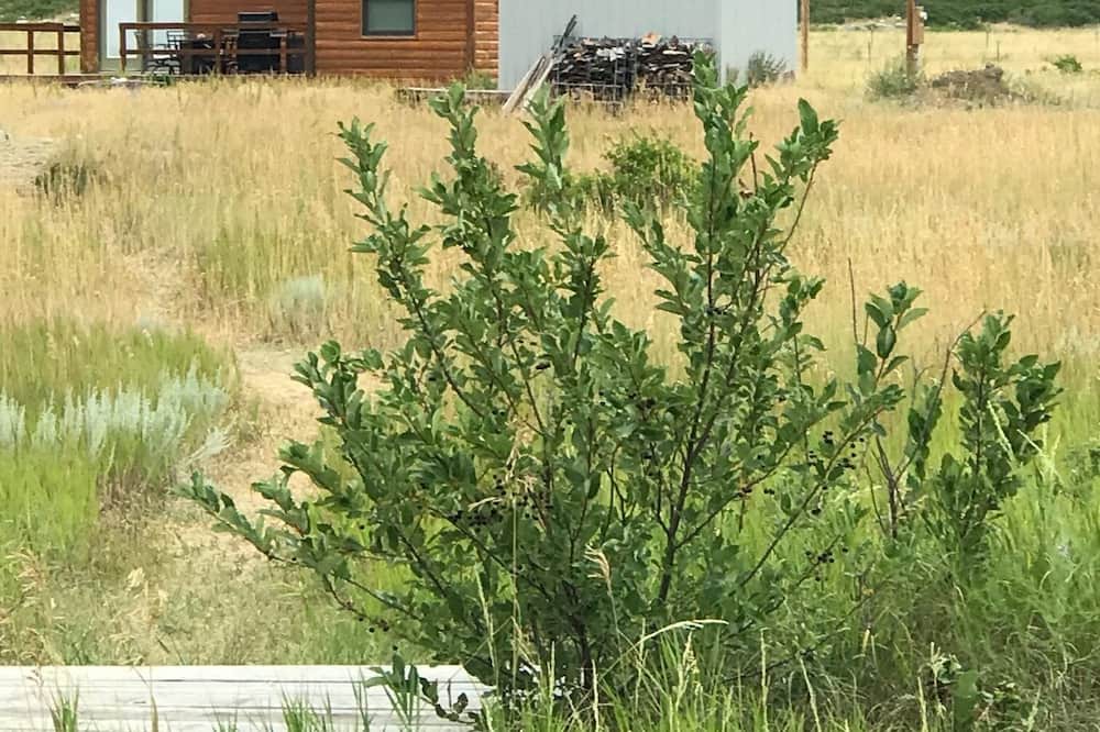 Photo of Others in Nye