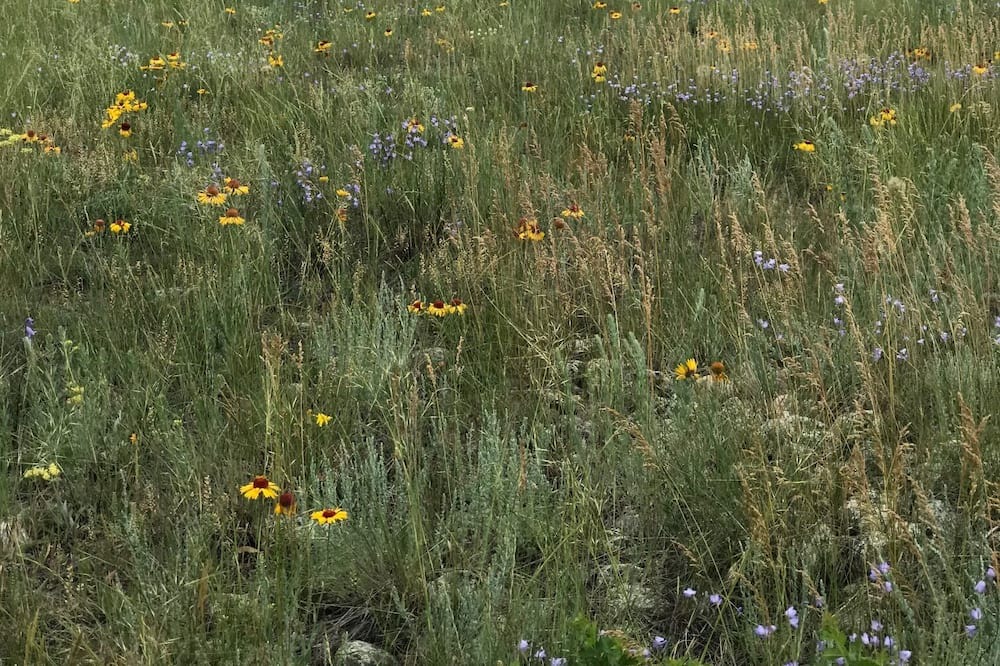 Photo of Others in Nye