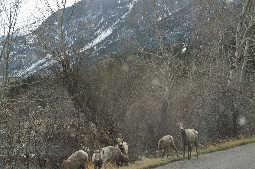 Photo of Others in Nye