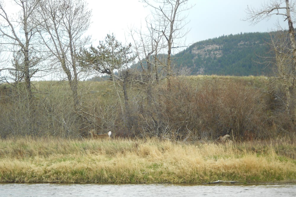 Photo of Others in Nye