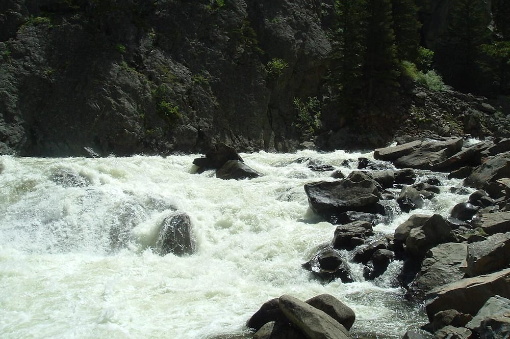 Photo of Others in Nye