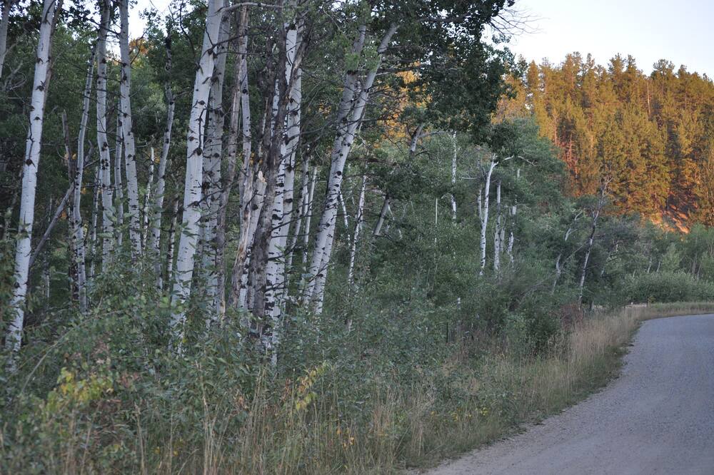 Photo of Others in Nye