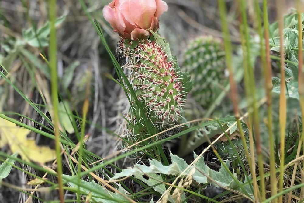 Photo of Others in Nye