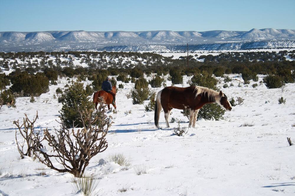 Photo of Others in Mountainair