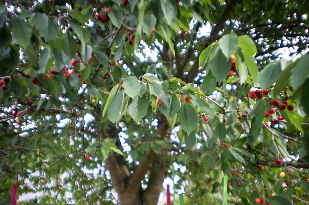 Photo of Outdoor in Fatouville-Grestain