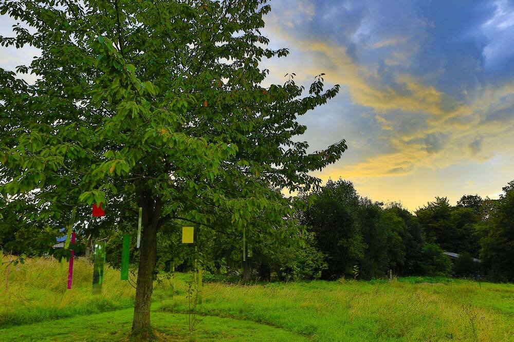 Photo of Outdoor in Fatouville-Grestain