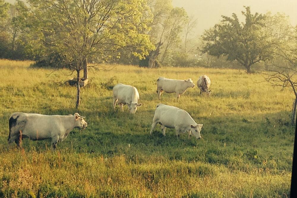 Photo of Outdoor in Fatouville-Grestain