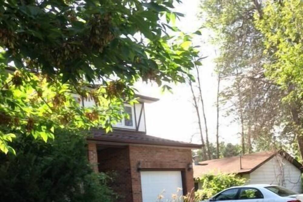 Photo of Outdoor in Ottawa Division
