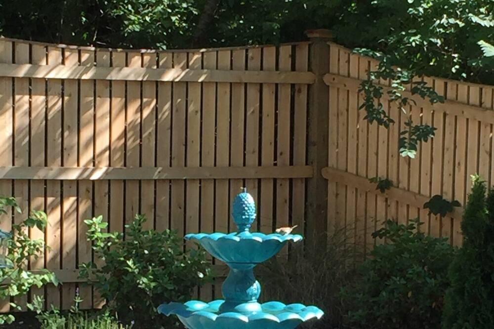 Photo of Outdoor in Cedar Bushes