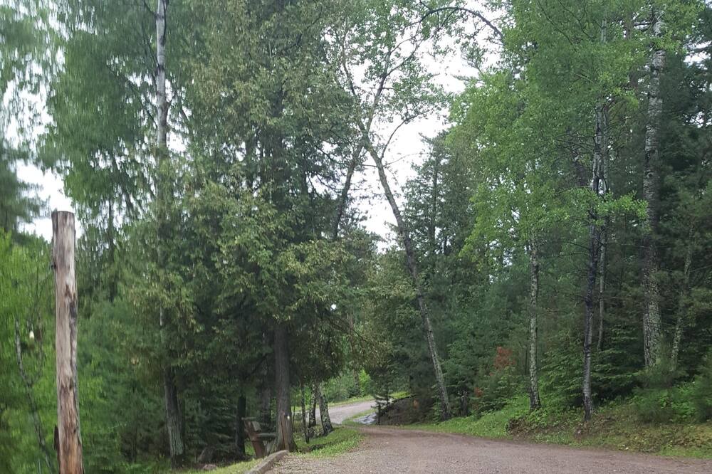 Photo of Others in Sioux Narrows Nestor Falls
