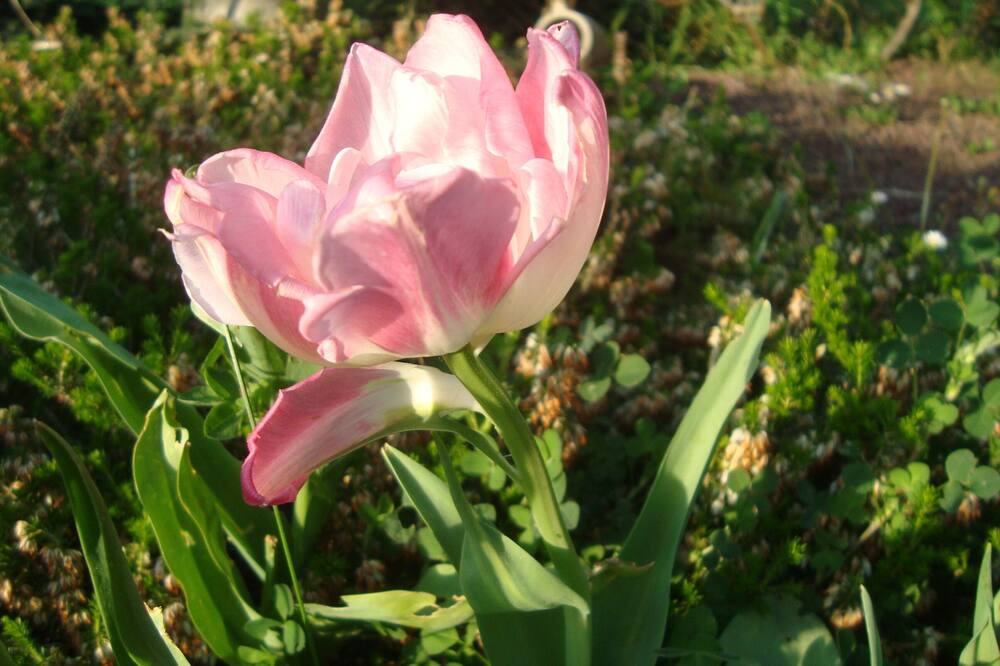 Photo of Outdoor in Vernantes