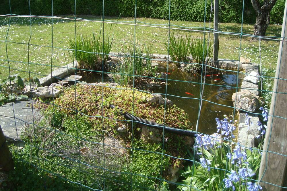 Photo of Outdoor in Vernantes